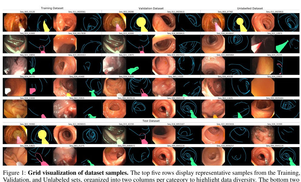 SegCol dataset examples and semantic annotations