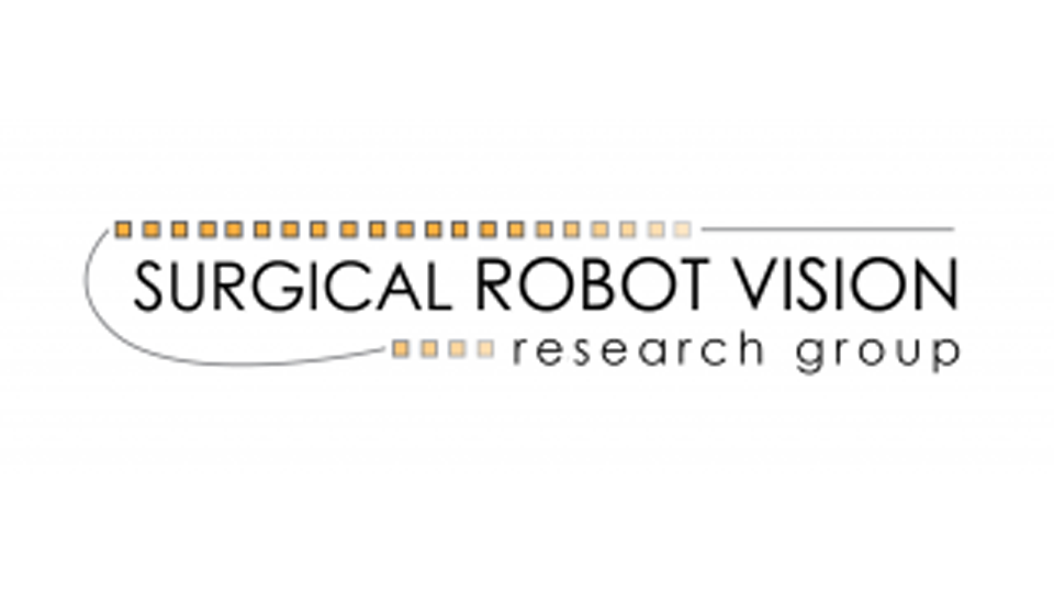 Surgical Robot Vision